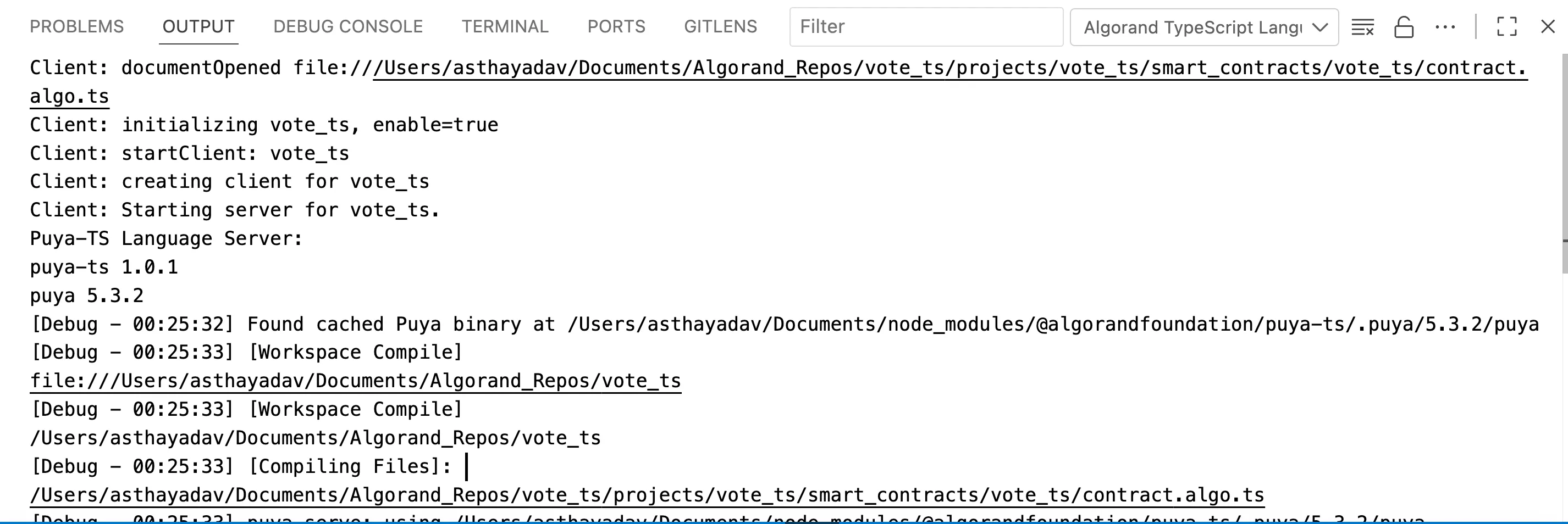 Algokit TypeScript Language Server Terminal Output